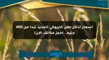 أسعار تذاكر حفل كايروكي الجديد تبدأ من 400 جنيه.. احجز مكانك الآن!